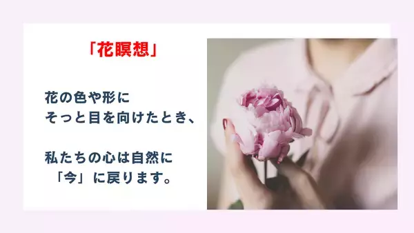 「「生け花」と「瞑想」を組み合わせた、これからの時代の「ウェルネス生け花・インストラクター」とは？Amazon6部門で1位を獲得した電子書籍「一輪から始まる花の仕事」と解説動画(全3話)を4月9日より無料提供！」の画像