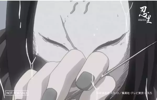 「雨が滴る五月雨（さみだれ）の季節、幻想的な淡路島の森で年に1度のイベント 「NARUTO＆BORUTO 忍里　五月雨祭2026」イベント情報第1弾」の画像