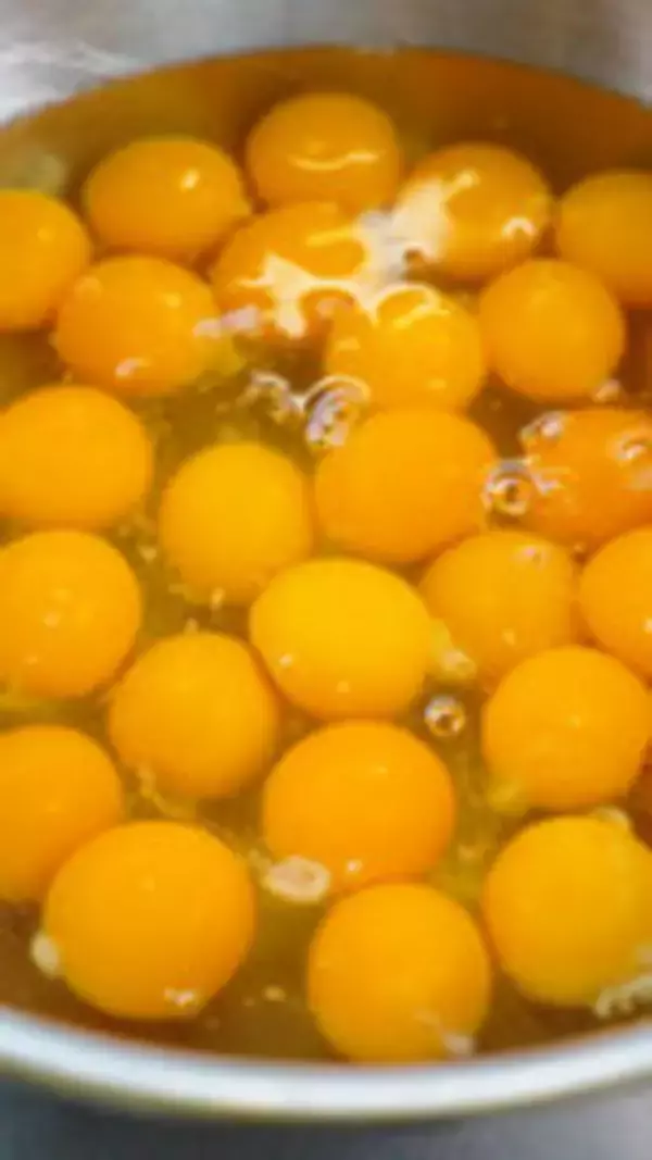「京都のイタリアン『ダニエルズ』のパスタコンクール開催　優勝パスタは全店舗で3か月間販売　～グループ全体で“次の看板パスタ”に挑戦～」の画像