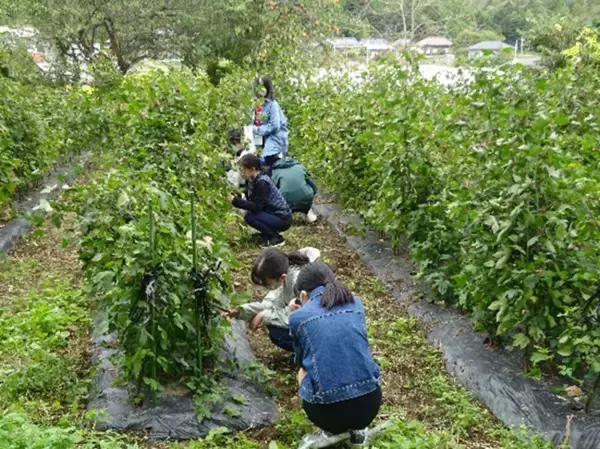 「首都圏の中高5校の連携プログラム「ＧＯＡＬｓ」 中高生による中高生のための「福島、その先の環境へツアー」開催 SDGs研究会の代表生徒による特別企画　11月2日(日)～3日(月･祝)に実施」の画像