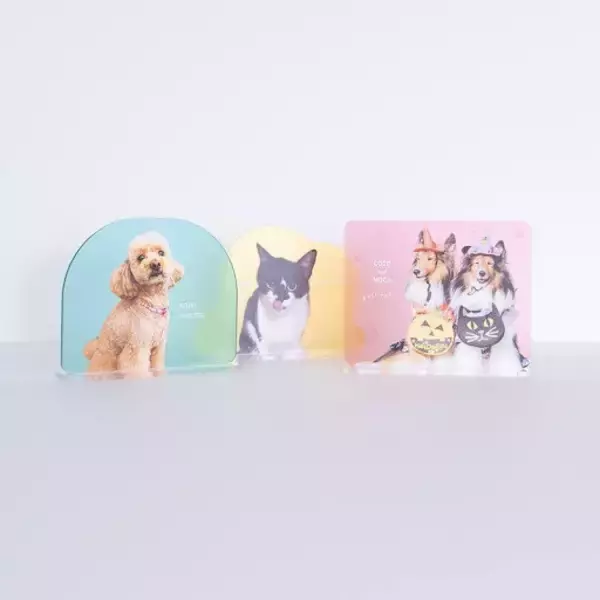 「ペットと暮らすご家庭に寄り添うニチガスの新プラン『でガ割もふもふ』第一弾、11月1日より受付開始！」の画像