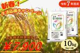 「ＪＡタウンのショップ「まるっと完食おおいた～美味しいもんいっぱい送っちゃんけん～」で大分県産なつほのか（令和７年産）を販売開始！」の画像1