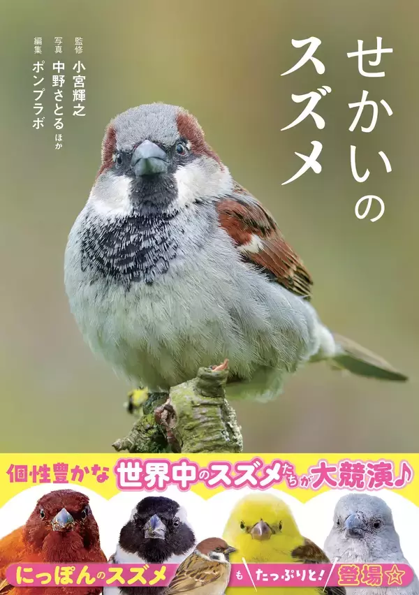 世界中で愛される28種のスズメ。その表情、しぐさ、個性を大紹介！『せかいのスズメ』5月7日発売
