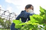 「「支援される側」だけではない。こうのす共生病院、“地域の知恵”が循環するコミュニティナーシングの実践」の画像1