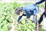 「「支援される側」だけではない。こうのす共生病院、“地域の知恵”が循環するコミュニティナーシングの実践」の画像3