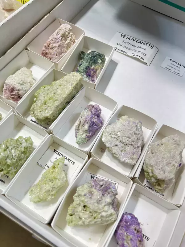 「流行や価格にとらわれず、“今の自分にしっくりくる宝石”を選ぶ時間　「ミネラルキャピタル2026in東京」5月1日より開催」の画像