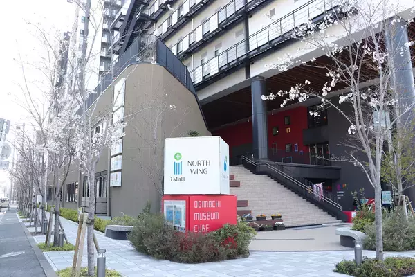 歴史継承と環境共生を支える「さくらサポーター」募集開始