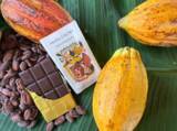 「【2/28まで限定】チョコレートのフルーツって！？　フィリピンのカカオ農園から届ける、特別なクラフトチョコをあなたに」の画像2