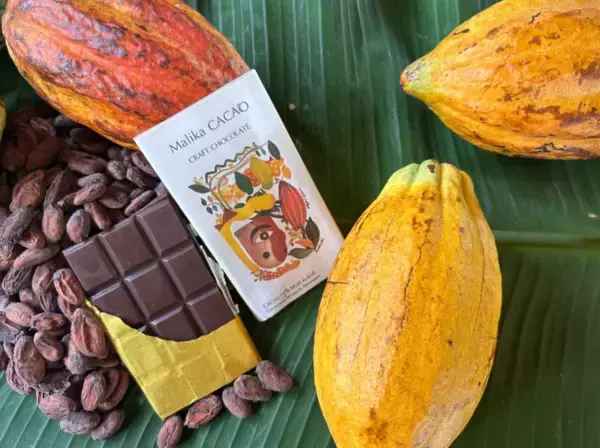 「【2/28まで限定】チョコレートのフルーツって！？　フィリピンのカカオ農園から届ける、特別なクラフトチョコをあなたに」の画像