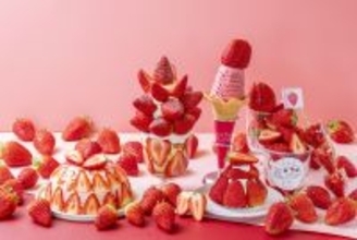 ＜いちご専門店の道の駅 いちごBonBonBERRY＞15組限定！15円でいちご盛り放題を開催！さらに150％いちご増量パフェや大粒いちごの限定メニューも！旬の静岡いちごが盛りだくさんの「いちごの収穫祭2026」を2月20日(金)から5日間開催！