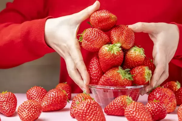 「＜いちご専門店の道の駅 いちごBonBonBERRY＞15組限定！15円でいちご盛り放題を開催！さらに150％いちご増量パフェや大粒いちごの限定メニューも！旬の静岡いちごが盛りだくさんの「いちごの収穫祭2026」を2月20日(金)から5日間開催！」の画像