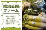 「人気の大阪北摂エリアに食料品・日用品・衣料品がそろった大型スーパーが誕生！「ライフ緑地公園店」が3月25日（水）にグランドオープン！」の画像2