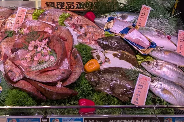 「人気の大阪北摂エリアに食料品・日用品・衣料品がそろった大型スーパーが誕生！「ライフ緑地公園店」が3月25日（水）にグランドオープン！」の画像