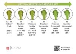 Yunomi.life、独自の「抹茶グレーディングシステム」を公開世界的な抹茶ブームにおける品質の透明化を目指す