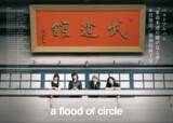 「a flood of circle、初武道館翌日に古巣下北沢SHELTERで灼熱のワンマン敢行」の画像2
