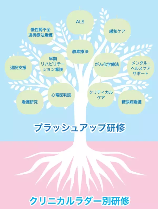 「看護知識の専門性を高める「ブラッシュアップ研修」に20看護分野を追加！」の画像