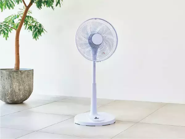 「静音＆風量自動調整！「温度センサー搭載 DC リビング扇風機」に夏にぴったりの新色「パープル」が登場　2026年4月発売」の画像