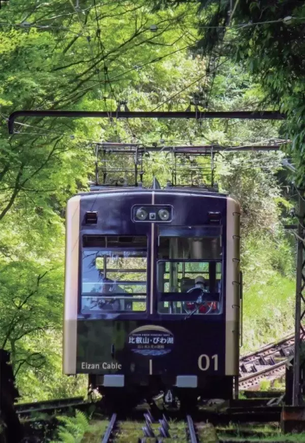 「２０２５年１２月２０日（土）叡山ケーブルが開業１００周年を迎えます   ２０２６年３月２０日（金・祝）から叡山ケーブル・ロープウェイ車内デザインを一新」の画像