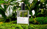「J-Scent 新作フレグランス「森息 / Verdant Whisper」2026年2月に発売」の画像1