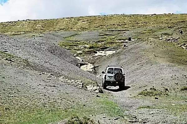 「1億2千万年前、北東アジアで最古の恐竜足跡群を発見！当時の大型恐竜生息域がモンゴル北部へ広がっていたことを証明」の画像