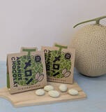 「メロンの産地からお届けするメロン香るアーモンドチョコレートが新登場！バレンタインにもおすすめな大人気のメロンパンも登場中」の画像4