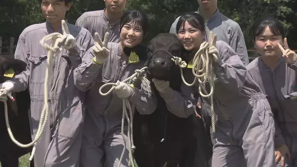 「新作も！再放送も！広島発のドキュメンタリー2025年の秀作を４日間連続で一挙放送します【広島ホームテレビ】」の画像