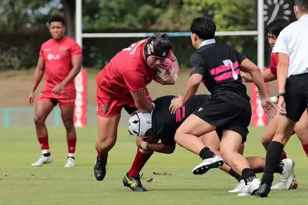 「花園近鉄ライナーズ　新加入選手のお知らせ」の画像