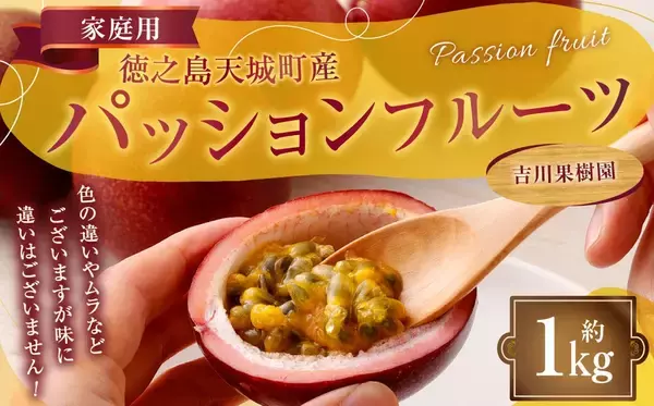 【鹿児島県天城町ふるさと納税】徳之島 天城町産の「吉川果樹園 パッションフルーツ 家庭用」を受付中です！