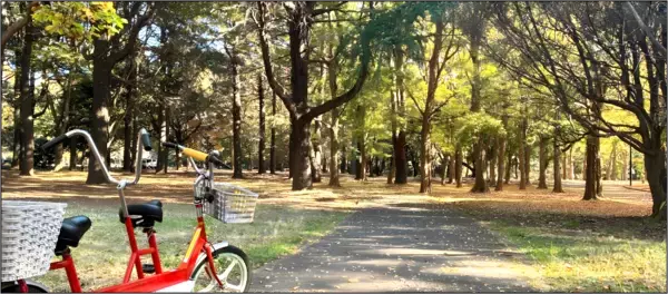 代々木公園サイクリングセンターがリニューアルオープン【12/24(水)に記念イベントを開催します！】