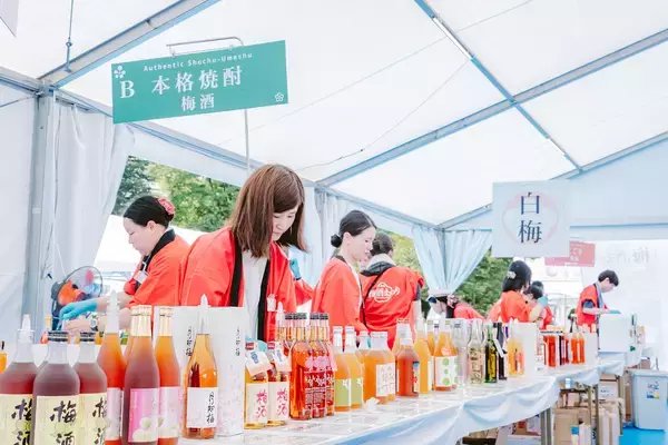 「全国120種以上の“梅酒”が集結『全国梅酒まつりin水戸2026』開催——偕楽園梅まつりとともに楽しむ梅酒体験」の画像