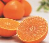 「ＪＡタウンのショップ「ＪＡ全農えひめ直販ショップ」で 「紅まどんな」販売中！」の画像1