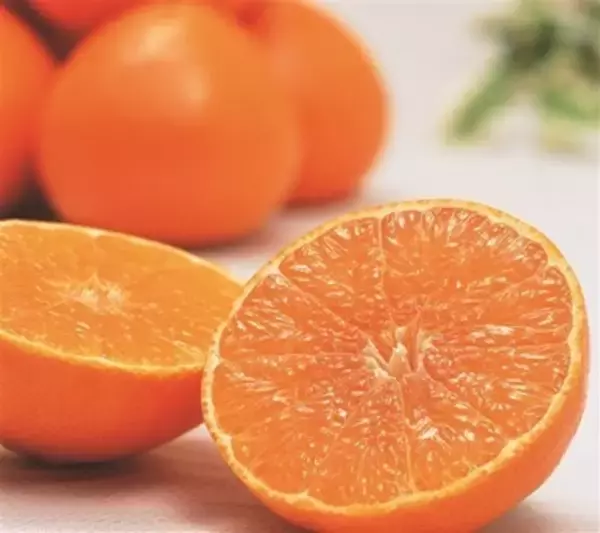 ＪＡタウンのショップ「ＪＡ全農えひめ直販ショップ」で 「紅まどんな」販売中！