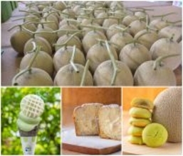 ＜茨城＞日本一のメロン産地から、今年最初のひと玉を　道の駅常総にメロンの季節がやってきた！4/11よりメロンの販売を開始