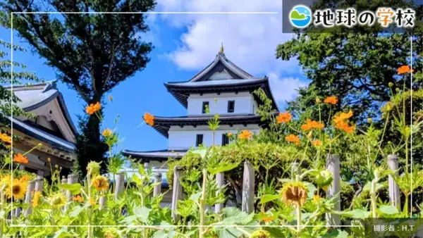 「社会課題に向き合うメディア「地球の学校」8月の記事を一挙ご紹介　魚と海の変化を考える「学び記事」と、様々な視点で綴る「編集室ブログ」を公開」の画像
