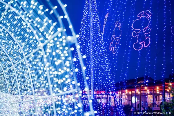 「45万球のイルミネーションとともにタオル美術館が贈るスヌーピー ハピネス クリスマスディナーが11月10日から予約開始！」の画像