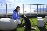「【開業１周年記念】愛犬との安心ウェルネスな旅を叶える温泉リゾートが 感謝のギフト付プランを販売｜2026年1月10日～」の画像2