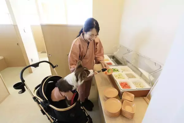 「【開業１周年記念】愛犬との安心ウェルネスな旅を叶える温泉リゾートが 感謝のギフト付プランを販売｜2026年1月10日～」の画像