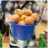 「＜千葉県南房総市＞道の駅ローズマリー公園 はなまる市場「年末年始大感謝祭～2026年もはなまるな一年になりますように祭～」を2025年12月27日(土)～2026年1月4日(日)に開催！」の画像4