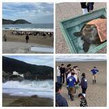 「【徳島県美波町】日和佐うみがめ博物館カレッタ二大プロジェクト『浜太郎繁殖プロジェクト』『混獲うみがめ保護活動』始まります※令和8年2月から始動」の画像2