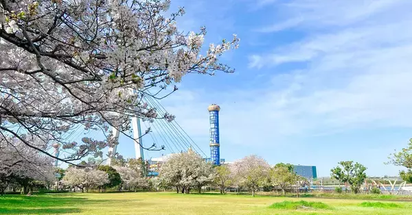 「子どもたちが植える、未来への桜。20年後の自分へ届けるタイムカプセルも。2026年3月28日（土）、「大阪北港マリーナ さくら植樹体験イベント」を開催！」の画像