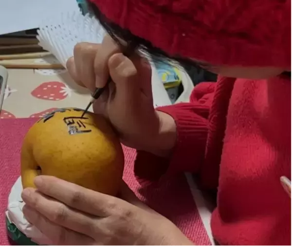 「「合格まちがい梨」店頭販売開始!」の画像