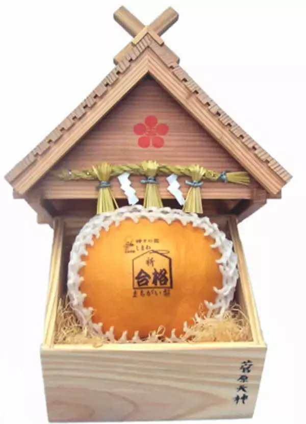 「「合格まちがい梨」店頭販売開始!」の画像