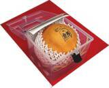 「「合格まちがい梨」店頭販売開始!」の画像4