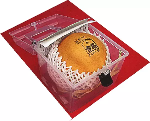 「「合格まちがい梨」店頭販売開始!」の画像