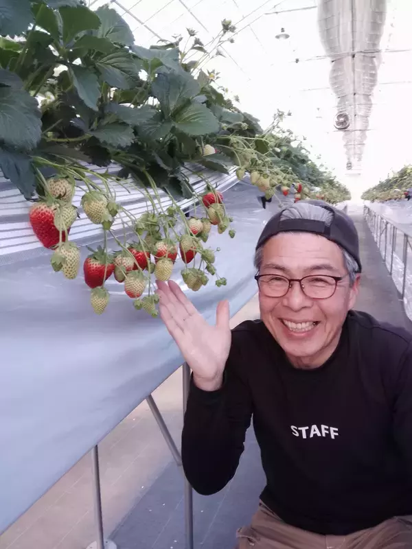 「食べると“にこにこ”“もういっこ”ほしくなる苺の味わい　ブルボン、“フェットチーネグミＰＲＥＭＩＵＭ”第5弾を期間限定で1月27日(火)に新発売！」の画像