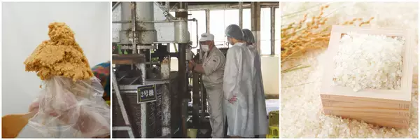 「麹のテーマパーク「やまうち本店」で食べて遊んで体験しながら麹の魅力を体感できる9日間！『やまうち本店の大感謝祭』を4/29より開催」の画像