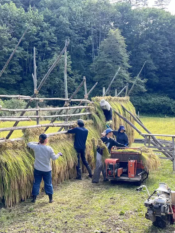 「【限定900本】秋田の里山の四季と風土を瓶に封じ込める浅舞酒造株式会社と小林茂和氏(うご八かやぶ喜)が取り組んだオーガニック日本酒「一燈」発売のお知らせ」の画像