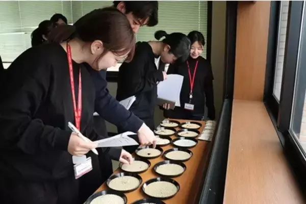 「亀田製菓の新米社員が田植えを体験米づくりへの理解を深める「どろんこ新米社員研修2026」実施」の画像