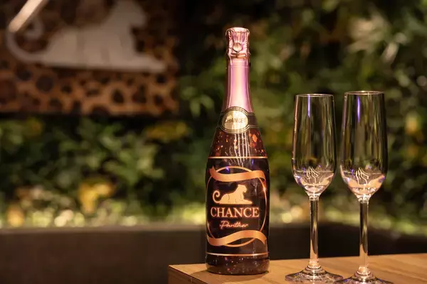 「大阪難波の大人気コンセプトカフェ「CHANCE」が待望の2店舗目を心斎橋に12月12日(金)OPEN！」の画像