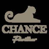 「大阪難波の大人気コンセプトカフェ「CHANCE」が待望の2店舗目を心斎橋に12月12日(金)OPEN！」の画像4